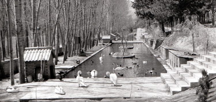 Ο Ζωολογικός Κήπος Φλώρινας και η ίδρυσή του το 1967