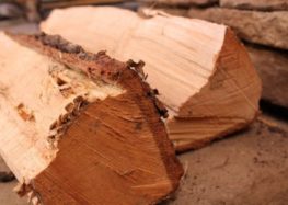 Πωλούνται καυσόξυλα