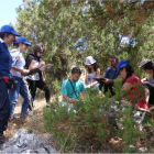 Τα Ελληνικά Δάση Αρκεύθου μονοπώλησαν το ενδιαφέρον το καλοκαίρι στην Πρέσπα