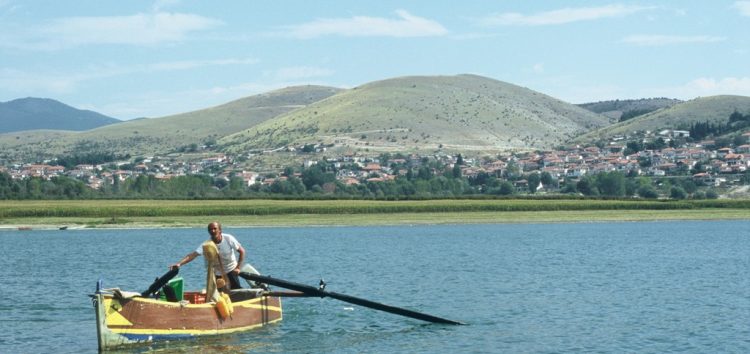 Απαγόρευση αλιείας της τούρνας για την προστασία της αναπαραγωγής της στη λίμνη Βεγορίτιδα