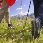 ΑΟΦ Nordic walking – πρόγραμμα χειμώνα