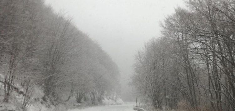 Στα λευκά ντύθηκαν τα ορεινά της Φλώρινας (pics)