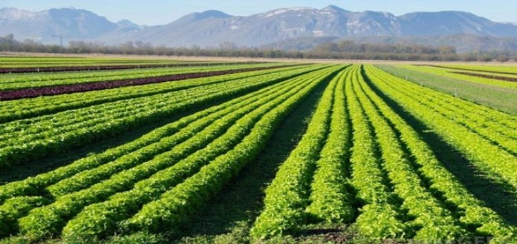 Ημερίδα σχετικά με αγροπεριβαλλοντικά μέτρα στον δήμο Πρεσπών