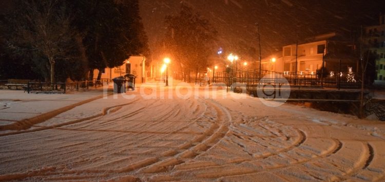 Στα λευκά η πόλη της Φλώρινας (pics)