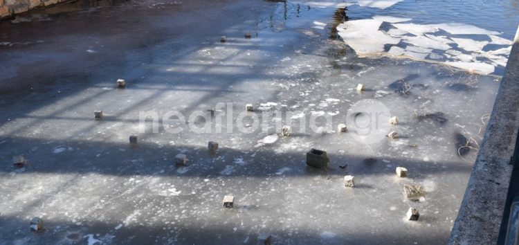 Πάγωσε κι ο Σακουλέβας (pics)