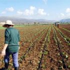 Παράταση της υποβολής αιτήσεων στήριξης στο πρόγραμμα των νέων γεωργών