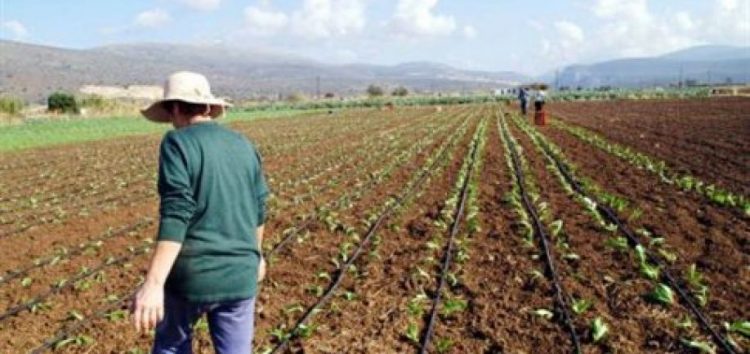 Ένταξη 314 επιλαχόντων νέων αγροτών της Περιφέρειας Δυτικής Μακεδονίας στο Υπομέτρο 6.1 «Εγκατάσταση Νέων Γεωργών» του ΠΑΑ 2014-2020