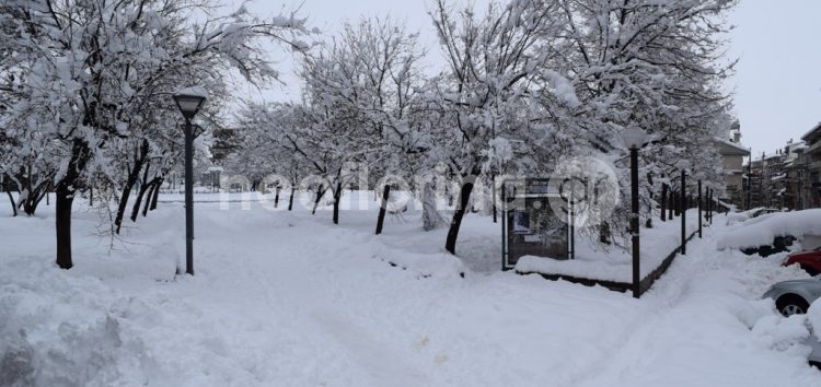 Η Φλώρινα μετά τη “λευκή επέλαση” (pics)