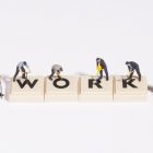 Θέσεις εργασίας (ανειδίκευτοι εργάτες και οδηγός) σε επιχείρηση της Φλώρινας