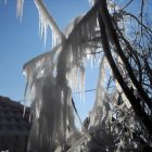 Πρώτη και με διαφορά η Φλώρινα (και) στον παγετό!