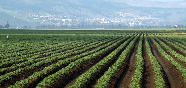 Αιτήσεις ένταξης για τις βιολογικές καλλιέργειες στον Αγροτικό Συνεταιρισμό Φλώρινας