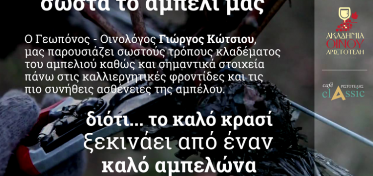 Μαθαίνουμε να διαχειριζόμαστε σωστά το αμπέλι μας, στην Ακαδημία Οίνου Αριστοτέλη