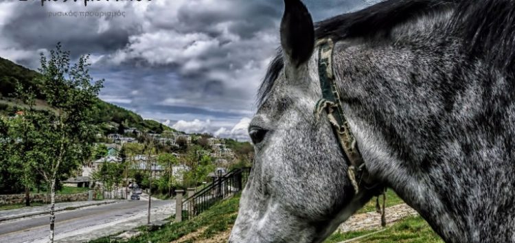 Το Αμύνταιο, τον μοναδικό δήμο με τέσσερις λίμνες εξαιρετικής ομορφιάς, θα τον συναντήσετε στην Έκθεση “Ελλάδος Γεύση”