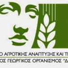 Κέντρο «Δήμητρα»: Δωρεάν τριήμερη εκπαίδευση μελισσοκομίας στο Ξινό Νερό