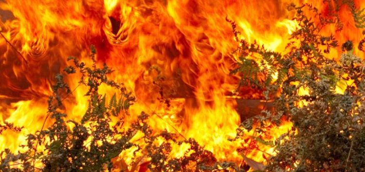 Η Πυροσβεστική Υπηρεσία Φλώρινας για τις δασικές πυρκαγιές