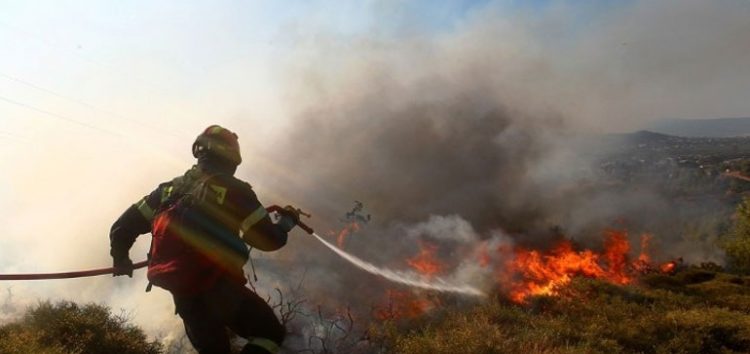 Φωτιά σε δασική έκταση του Βροντερού Πρεσπών