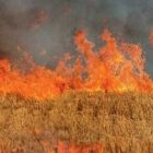 Άμεση σύλληψη 48χρονου αλλοδαπού για εμπρησμό σε δασική έκταση των Ψαράδων Πρεσπών
