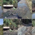 Να τιμωρηθούν όλοι όσοι ενέχονται στο σκάνδαλο της μόλυνσης της Βεγορίτιδας (pics)