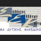 Η νέα Διοικούσα Επιτροπή του Συλλόγου Ελλήνων Κοινωνιολόγων – Παραρτήματος Δυτ. Μακεδονίας για την περίοδο 2017-2019