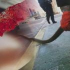 Πρεμιέρα για το πετρέλαιο θέρμανσης – Στο 1,18 ευρώ η τιμή εκκίνησης στη Φλώρινα