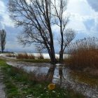 Φωτιές στη λίμνη Πετρών και στη νομιμότητα (pics)