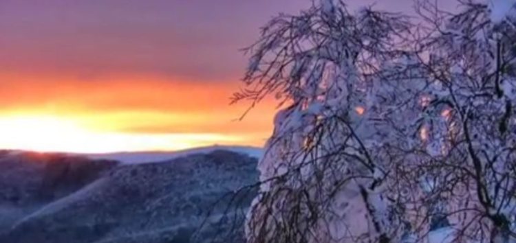 Στα βουνά της Φλώρινας (video)