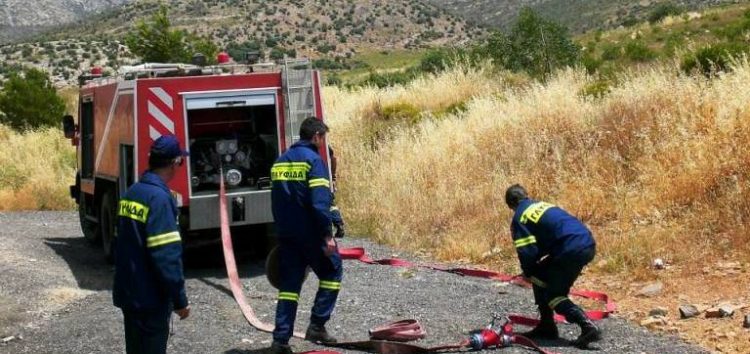 Πρόγραμμα Κοινωφελούς Χαρακτήρα για την αντιπυρική προστασία