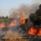 Πυρκαγιά σε δασική περιοχή στο Βροντερό