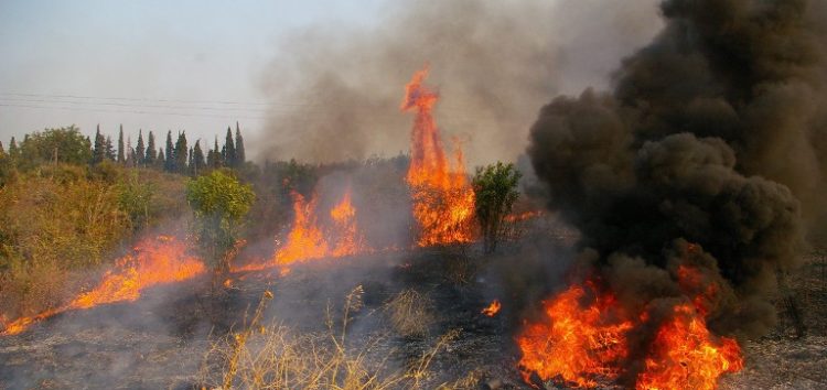 Πυρκαγιά σε δασική περιοχή στο Βροντερό