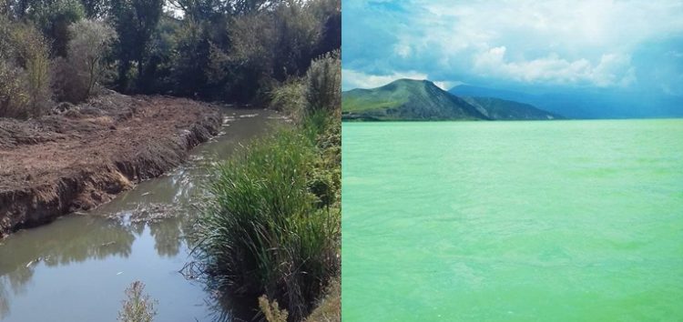 Βεγορίτιδα: Η πρόληψη άργησε… μια δεκαετία!