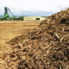 Ημερίδα για τις δυνατότητες και προοπτικές αξιοποίησης βιομάζας στο Αμύνταιο