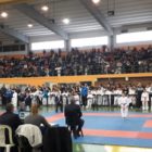 Ολοκληρώθηκε το Κύπελλο Καράτε εγχρώμων και μαύρων ζωνών Βορείου Ελλάδος στο Αμύνταιο (pics)