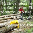 Η ΓΣΕΕ στηρίζει την πρωτοβουλία του Εργατικού Κέντρου Φλώρινας για τους δασεργάτες