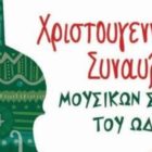 Χριστουγεννιάτικη συναυλία του Ωδείου στο Αμύνταιο