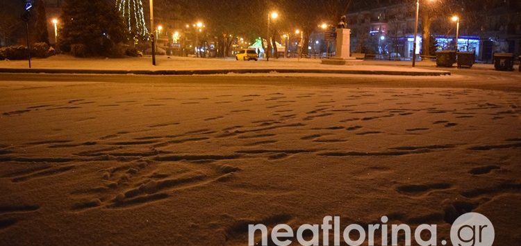 Ξεκίνησε η χιονόπτωση στη Φλώρινα (pics)