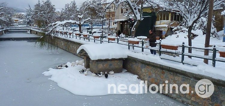 Η Φλώρινα μετά τη συνεχή χιονόπτωση – Πάγωσε μέχρι και ο ποταμός Σακουλέβας (pics)