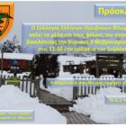 Κοπή βασιλόπιτας του ΣΕΟΦ
