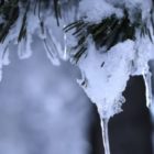 Ισχυρός παγετός στη Δυτική Μακεδονία – Στους -8,4 βαθμούς έπεσε η θερμοκρασία στη Φλώρινα