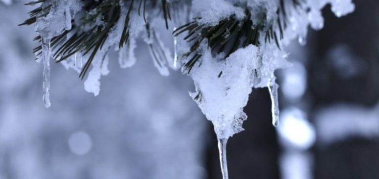 Παγετός στη Φλώρινα! Μέχρι τους -21 βαθμούς έπεσε η θερμοκρασία νωρίς το πρωί!