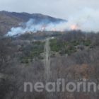 Υπό μερικό έλεγχο η πυρκαγιά έξω από την πόλη της Φλώρινας