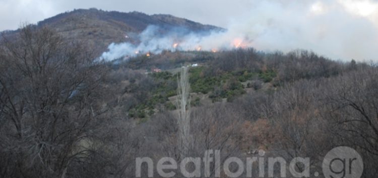 Υπό μερικό έλεγχο η πυρκαγιά έξω από την πόλη της Φλώρινας