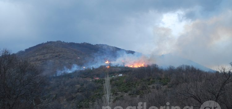 Σε εξέλιξη φωτιά έξω από τη Φλώρινα (video, pics)