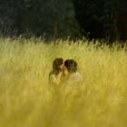 Όταν ο έρωτας ρωτά…