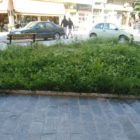 Παράπονο αναγνώστη για ελλειπή περιποίηση πάρκου