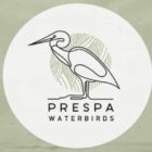 PrespaWings: Ανακαλύψτε τον κόσμο των πουλιών του υγροτόπου της Πρέσπας