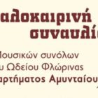 Καλοκαιρινή συναυλία μουσικών συνόλων του Ωδείου Φλώρινας παραρτήματος Αμυνταίου
