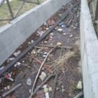 Επιστολή αναγνώστη: Εικόνα εγκατάλειψης στο πάρκο και στις “λιμνούλες” της μπουάτ