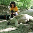 Ακόμη ένα περιστατικό δηλητηρίασης στα σύνορα Καστοριάς – Φλώρινας (pics)