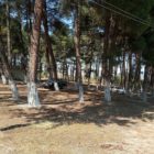 Συνεργασία του δήμου Αμυνταίου με τη Διεύθυνση Δασών και καθαρισμός στα Πευκάκια