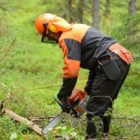 Συνάντηση στο Υπουργείο Περιβάλλοντος και Ενέργειας για τη Δασοπροστασία